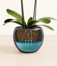 Load image into Gallery viewer, Deep Navy