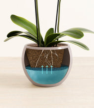 Load image into Gallery viewer, Winter Clouds