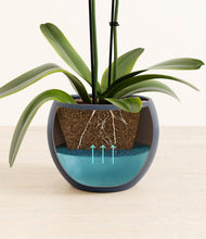 Load image into Gallery viewer, Deep Navy