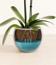 Load image into Gallery viewer, Deep Ocean