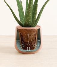 Load image into Gallery viewer, Calm Rose stand:all