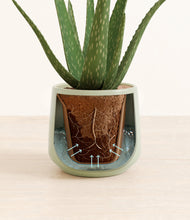 Load image into Gallery viewer, Turquoise stand:all