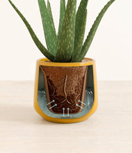 Load image into Gallery viewer, Mustard stand:all