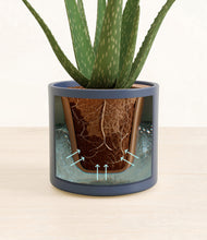 Load image into Gallery viewer, Deep Navy stand:all