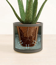 Load image into Gallery viewer, Dark Olive stand:all