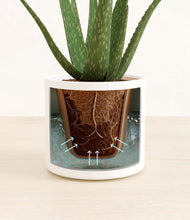 Load image into Gallery viewer, White stand:all