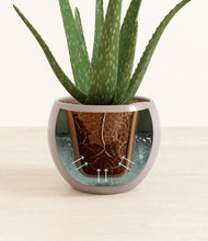 Load image into Gallery viewer, Winter Clouds stand:all