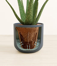 Load image into Gallery viewer, Iron Gray stand:all