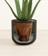 Load image into Gallery viewer, Stone Black stand:all