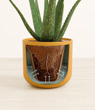 Load image into Gallery viewer, Sunset Orange stand:all