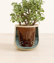 Load image into Gallery viewer, Almond Green stand:all