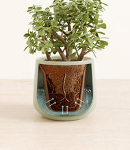 Load image into Gallery viewer, Turquoise stand:all