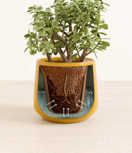Load image into Gallery viewer, Mustard stand:all