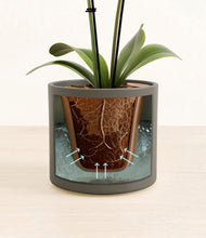 Load image into Gallery viewer, Dark Olive stand:all