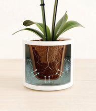 Load image into Gallery viewer, White stand:all