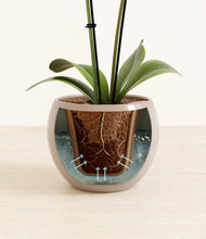 Load image into Gallery viewer, Desert Brown stand:all