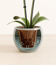 Load image into Gallery viewer, Deep Ocean stand:all