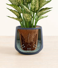 Load image into Gallery viewer, Deep Navy stand:all