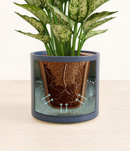 Load image into Gallery viewer, Deep Navy stand:all