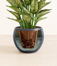 Load image into Gallery viewer, Deep Navy stand:all