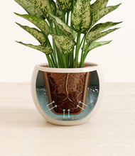 Load image into Gallery viewer, Shiny EggWhite stand:all