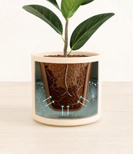 Load image into Gallery viewer, Almond Green stand:all