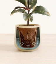 Load image into Gallery viewer, Almond Green stand:all