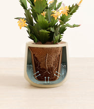 Load image into Gallery viewer, -Almond Green stand:all