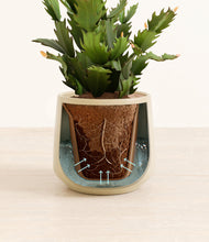 Load image into Gallery viewer, Almond Green stand:all