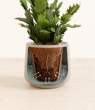 Load image into Gallery viewer, Eternal Gray stand:all