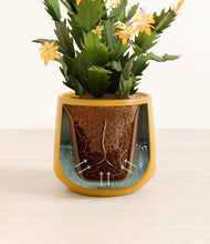 Load image into Gallery viewer, -Mustard stand:all