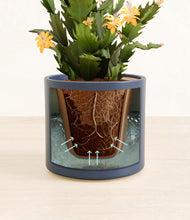 Load image into Gallery viewer, -Deep Navy stand:all