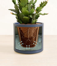 Load image into Gallery viewer, Deep Navy stand:all