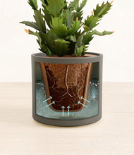 Load image into Gallery viewer, Dark Olive stand:all