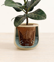Load image into Gallery viewer, Almond Green stand:all