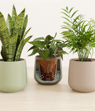 Load image into Gallery viewer, Earthy stand:all