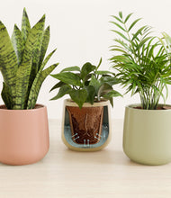 Load image into Gallery viewer, Lily Pad stand:all