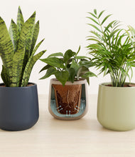 Load image into Gallery viewer, Winding River stand:all