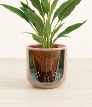 Load image into Gallery viewer, Hammered Peach Pink stand:all