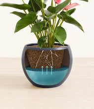 Load image into Gallery viewer, Deep Navy