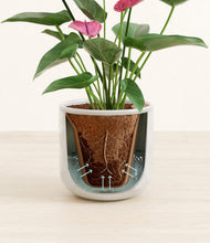 Load image into Gallery viewer, Hammered Ivory stand:all