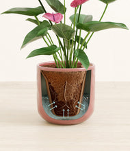 Load image into Gallery viewer, Hammered Rose Pink stand:all