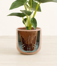 Load image into Gallery viewer, Hammered Peach Pink stand:all