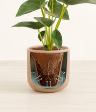 Load image into Gallery viewer, -