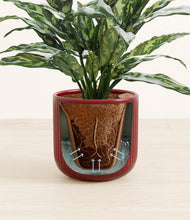 Load image into Gallery viewer, Striped Cherry Red