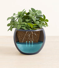 Load image into Gallery viewer, Deep Navy