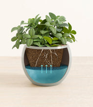 Load image into Gallery viewer, Deep Ocean