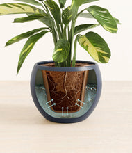 Load image into Gallery viewer, Deep Navy stand:all