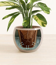 Load image into Gallery viewer, Desert Brown stand:all