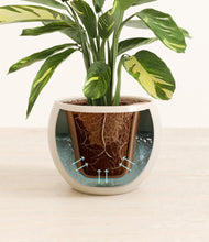 Load image into Gallery viewer, Calm Rose stand:all